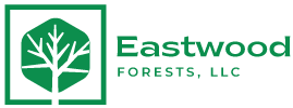Eastwood Forests